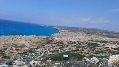 qloxzp
