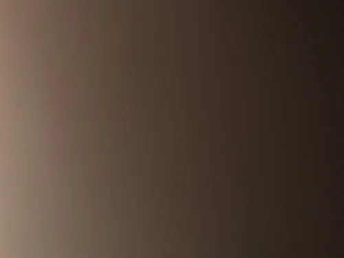 רון78888
