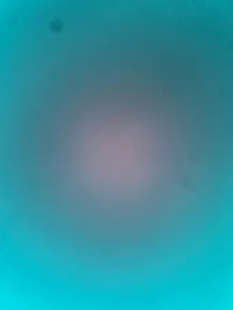 קיקי321