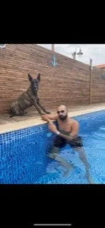 אייל מזל
