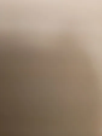 Vsbdbbdjcbeuguj