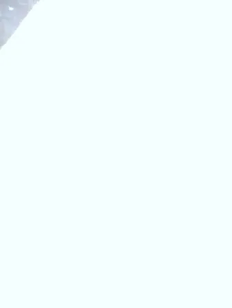 אוסקר772