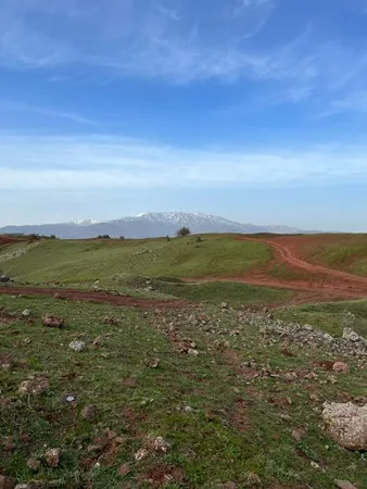 King j