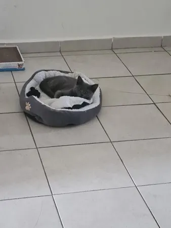 Наруто