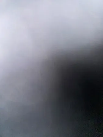 The sexe