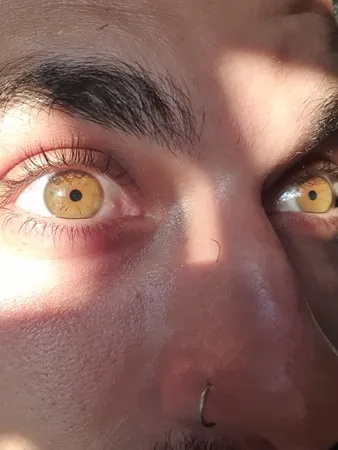 דןדןsi3
