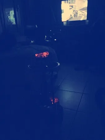zoal