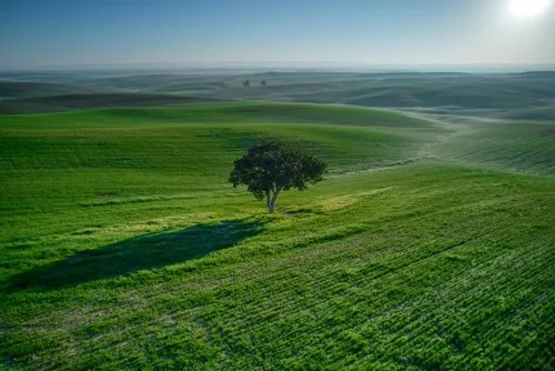 אלון2014