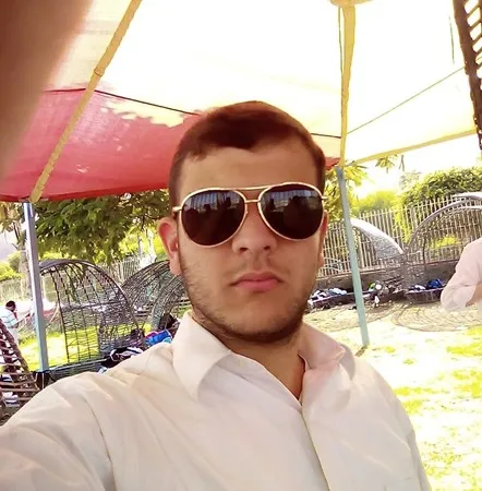 הנמר המוזהב