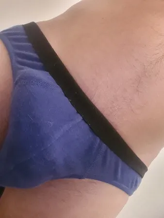  stud bull