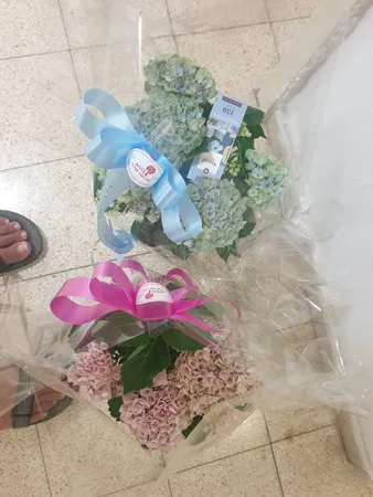 מוכןלהכל