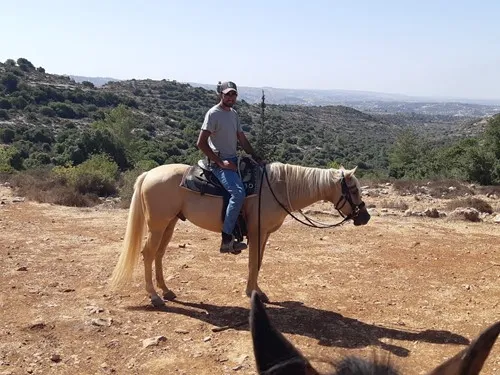 נועם11111