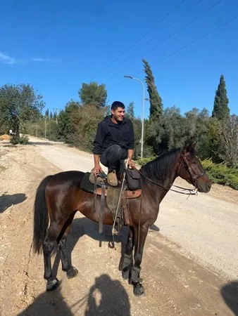 Alix falcon 