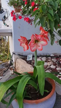 ששששש11111
