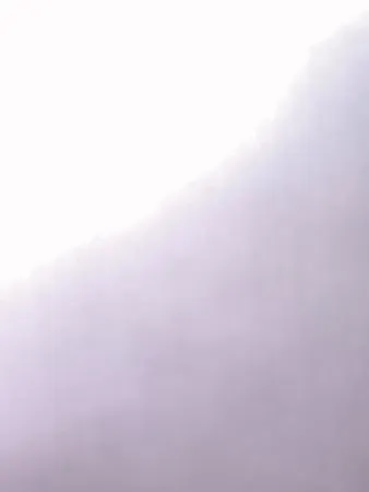 שולט מצויד