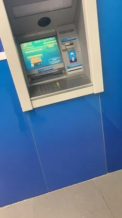 מחלל לי בחליל