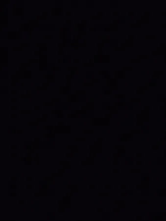 Cinoi2344