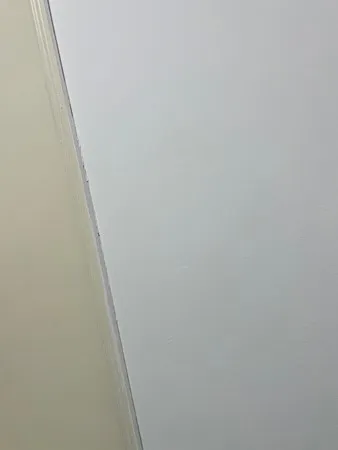 סוסה פראית