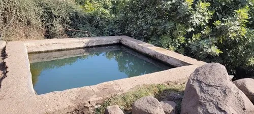 דן 1965
