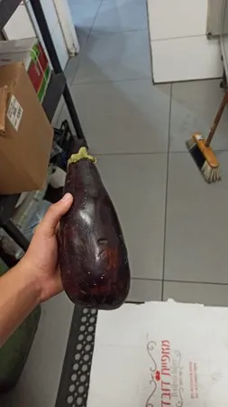 נועםooo