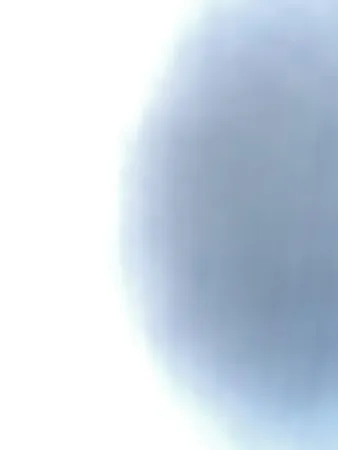 ErEli