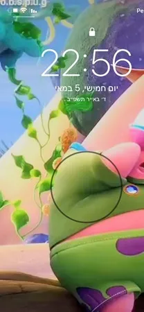 ליאם4343