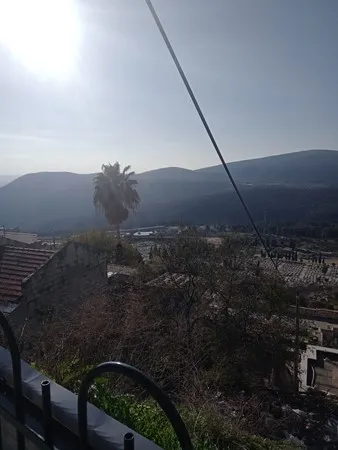 אליהו גלר 