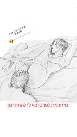 David312