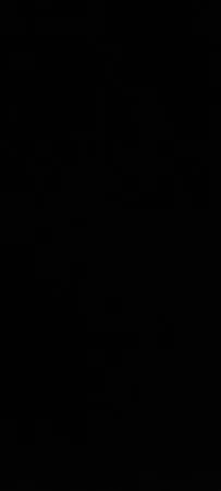 עבד19