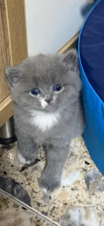 Mia❤️