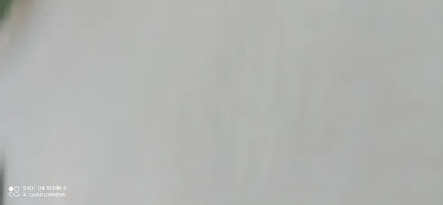 שמשון בן דוד