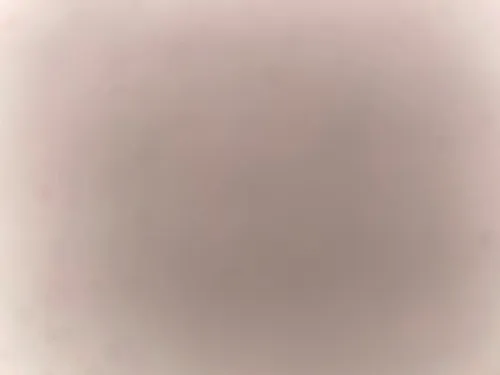 דודו הענק
