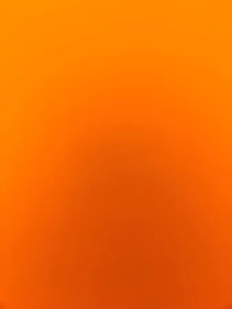 Almog456