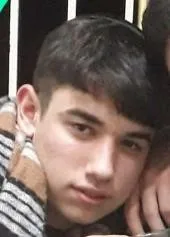 שון טוויניק