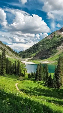אפי 18