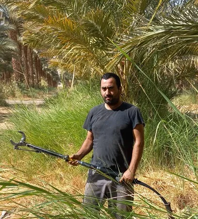 אריאל.ר