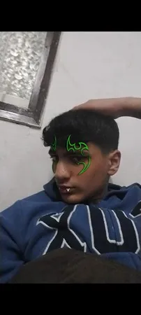 חיה 1233