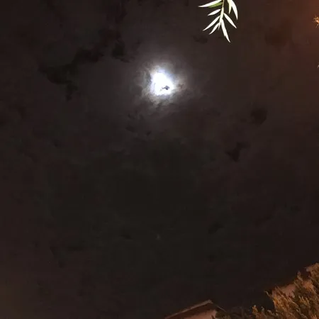חרמן6543
