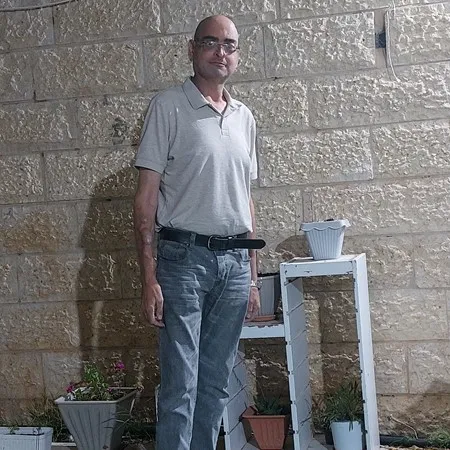 ארז 1981