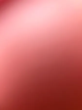 H.s23