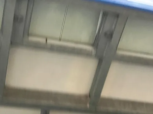 דודי מועלם 