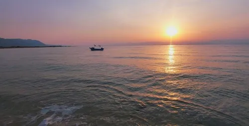 Eytan_26