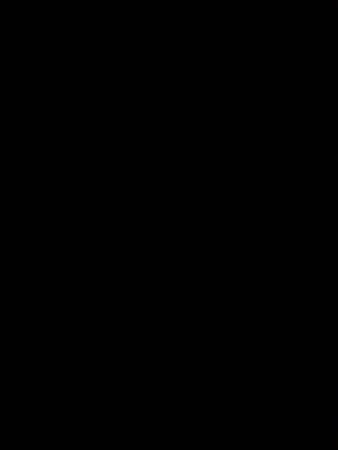 אביב1331
