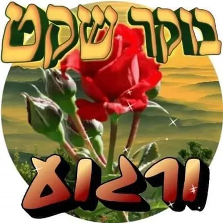 זיןו ב קיף