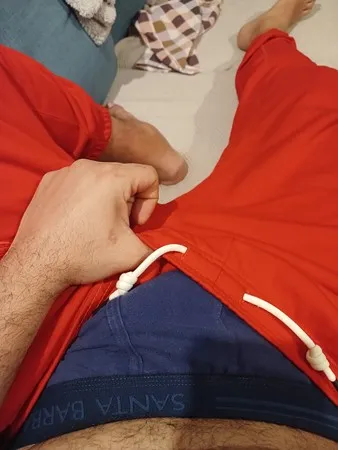Dsh81
