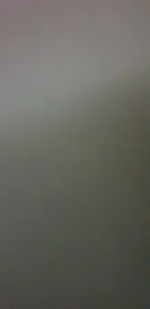 אליה008