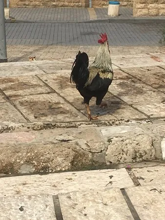 אאש..🔥