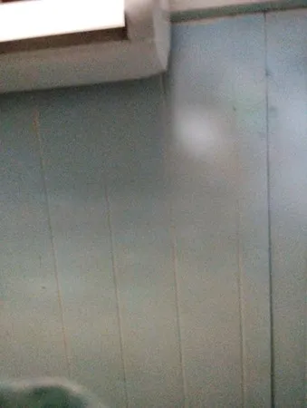 שמעון חכם