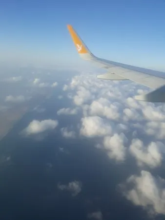 חוליוו