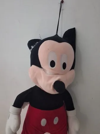 אנימי